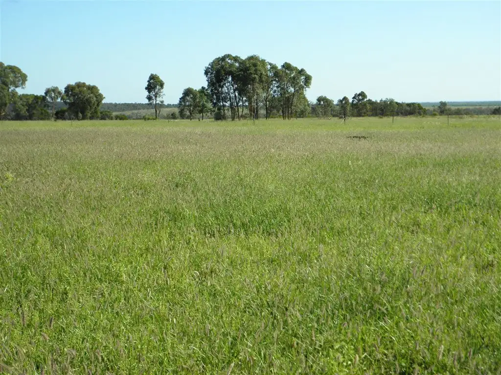 Main view of Homely rural property listing, " Spring Creek", Emerald QLD 4720
