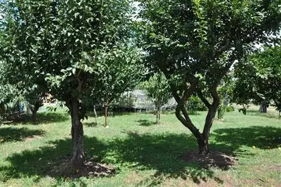 Fourth view of Homely house listing, Lot 1 Kingdon St, The Old Wingen Post Office, Wingen via, Scone NSW 2337