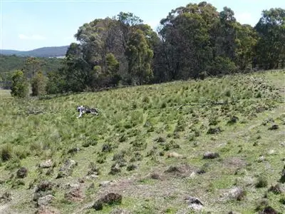Sixth view of Homely rural property listing, Lot 3 Berlang Forest Road, Braidwood NSW 2622