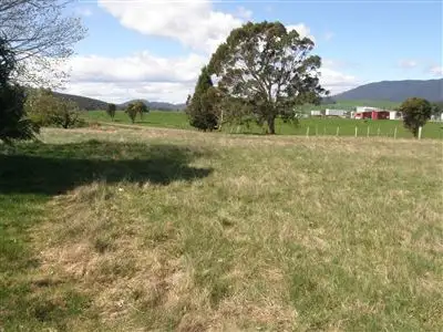 Sixth view of Homely rural property listing, 169 South Springfield Road, Springfield TAS 7260