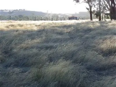 Fifth view of Homely rural property listing, 146 Finnings Rd, Elphinstone VIC 3448