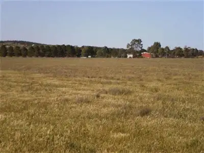Second view of Homely rural property listing, Lot 1 Yongala Road, Peterborough SA 5422