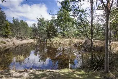 Fourth view of Homely land listing, 538 She Oak Road, Judbury TAS 7109