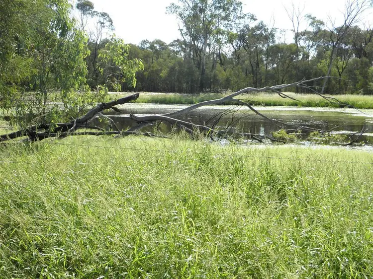 Fourth view of Homely rural property listing, " Lilyvale", Dingo QLD 4702