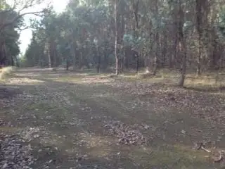 Main view of Homely rural property listing, Lot 3618 Muir Highway, Dingup WA 6258