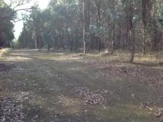 Main view of Homely rural property listing, Lot 3618 Muir Highway, Dingup WA 6258