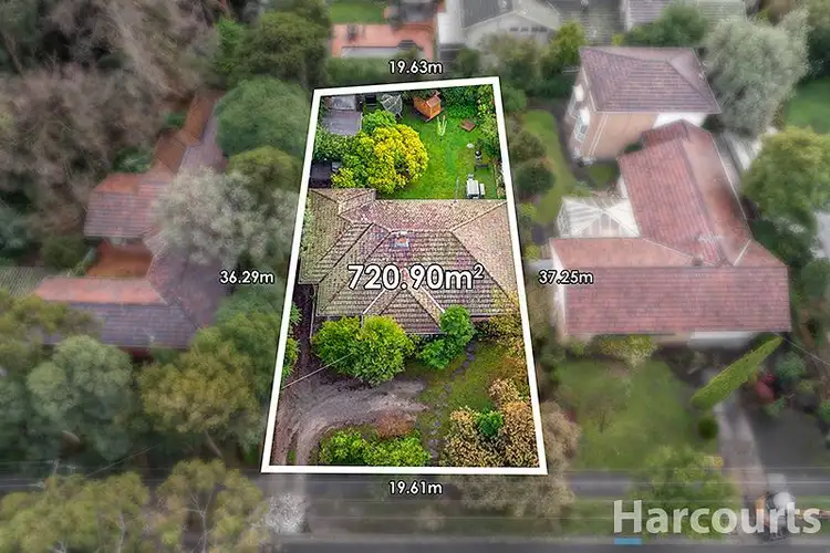 Main view of Homely house listing, 37 Waimarie Drive, Mount Waverley VIC 3149