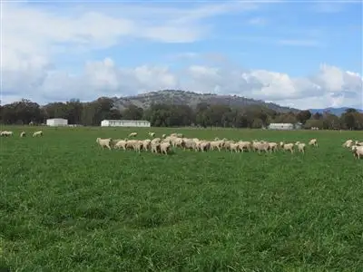 Seventh view of Homely rural property listing, 140 Euroa Shepparton Road, Euroa VIC 3666