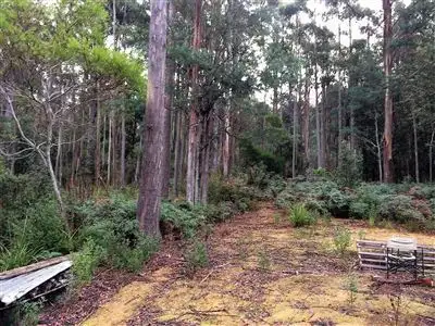 Third view of Homely land listing, 73 Holders Road, Patersonia TAS 7259