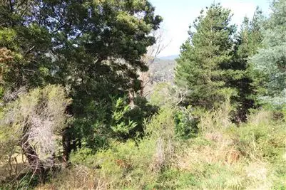 Second view of Homely land listing, 8 Mulhern Street, Derby TAS 7264