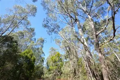 Fifth view of Homely land listing, 1 North Street, Elizabeth Town TAS 7304