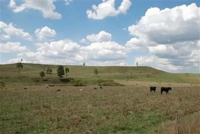 Fourth view of Homely rural property listing, Address available on request