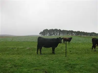 Sixth view of Homely rural property listing, 2282 Mawbanna Road, Mawbanna TAS 7321