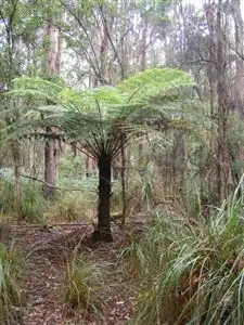Second view of Homely land listing, 735 Pegarah Road, Naracoopa TAS 7256