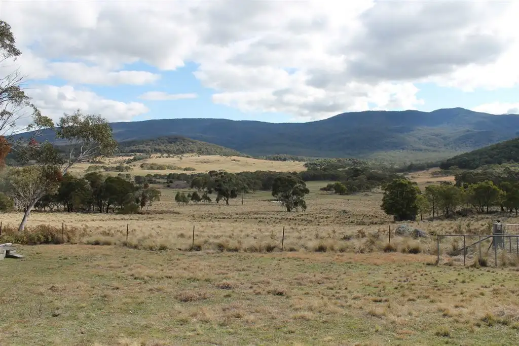 Main view of Homely rural property listing, 439 Kain Cross Road, Braidwood NSW 2622