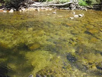 Main view of Homely rural property listing, Address available on request