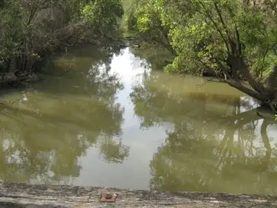 Sixth view of Homely rural property listing, 33 Forest Home Rd, Rathdowney QLD 4287