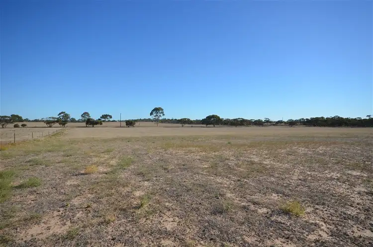 Seventh view of Homely land listing, 51 Adelaide Road, Lameroo SA 5302