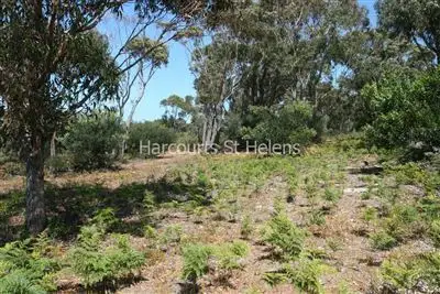 Fourth view of Homely land listing, 4 Seabreeze Court, Beaumaris TAS 7215