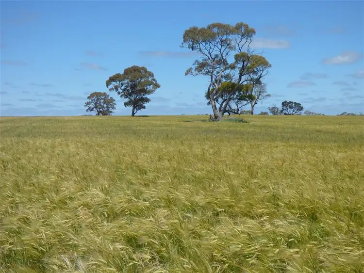 Sixth view of Homely rural property listing, 2481 Natimuk- Frances Road, Gymbowen VIC 3401