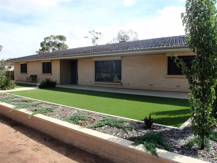 11 Colman St, Wudinna SA 5652