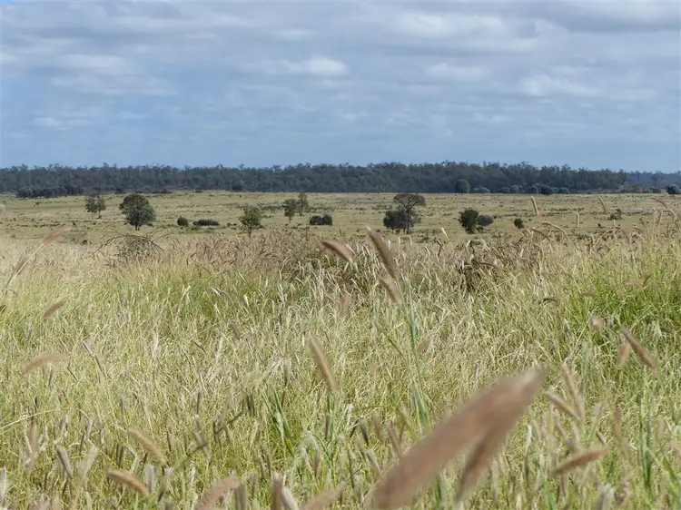 Seventh view of Homely rural property listing, . "Box Flat", Taroom QLD 4420