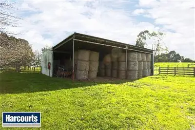 Sixth view of Homely rural property listing, 25 McIntosh Road, Strzelecki VIC 3950