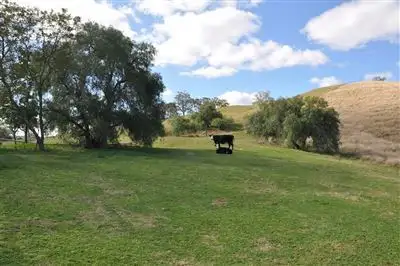 Second view of Homely rural property listing, 77 Post Office Rd, "Linwood", Timor via, Scone NSW 2337