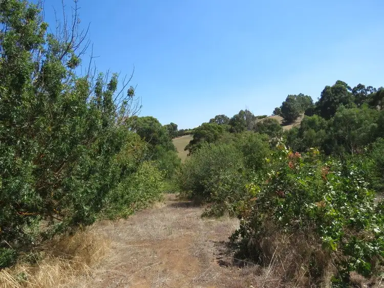 Sixth view of Homely land listing, 17 Mottram Street, Bridgetown WA 6255