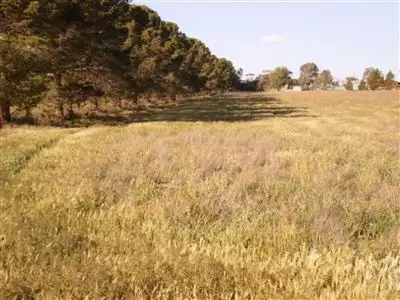 Fourth view of Homely rural property listing, Lot 1 Yongala Road, Peterborough SA 5422