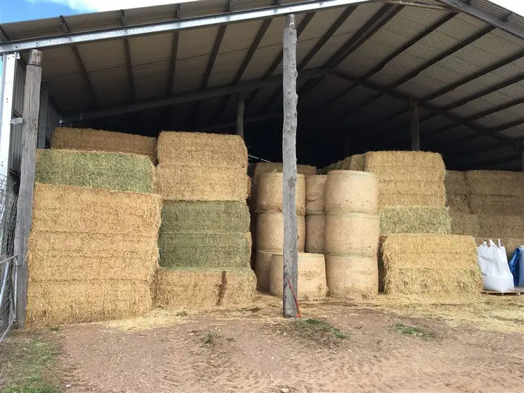 Fourth view of Homely rural property listing, 931 'Mullamuddy Farm' Castlereagh Highway, Mudgee NSW 2850