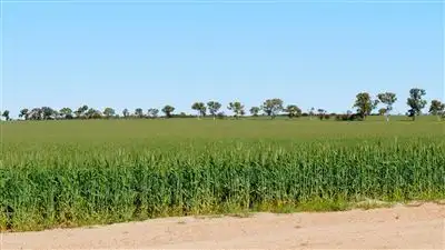 Main view of Homely rural property listing, Address available on request