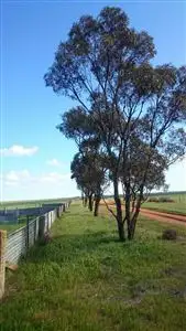 Main view of Homely rural property listing, 0 Lalbert-Kerang Road, Lalbert VIC 3542