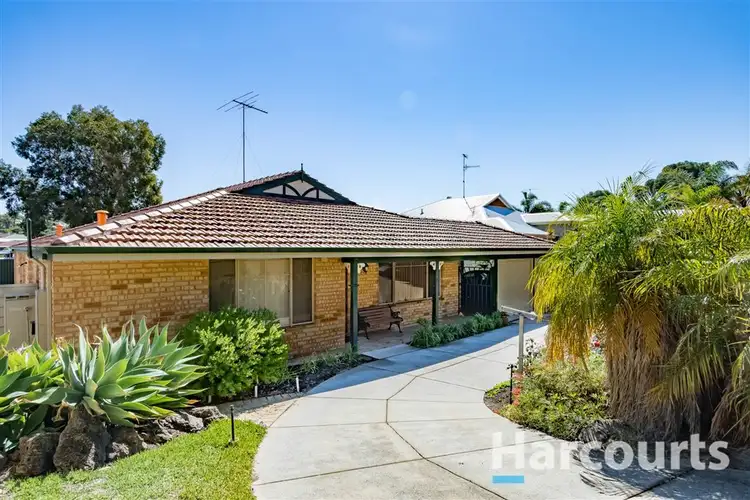 Third view of Homely house listing, 41 Carina Circle, Halls Head WA 6210