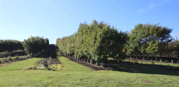 Seventh view of Homely rural property listing, 110 Trickett Road, Needles TAS 7304