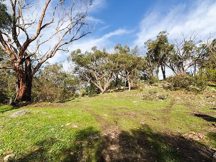 Sixth view of Homely rural property listing, 813C Scott Creek Road, Scott Creek SA 5153