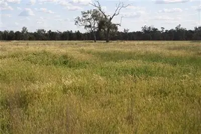 Sixth view of Homely rural property listing, 2554 East Coonamble Rd, Curban NSW 2827