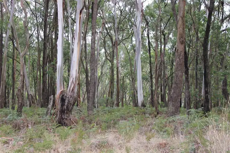 Lot52 F Bucks Road, Scotts Creek VIC 3267