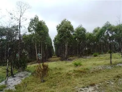 Fourth view of Homely rural property listing, 149ha Tasman Highway, Goshen TAS 7216