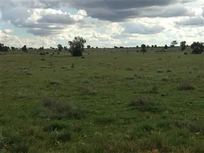 Main view of Homely rural property listing, " Iowabah", Nyngan NSW 2825