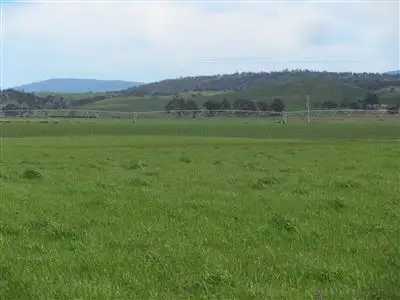 Sixth view of Homely rural property listing, - Auburn Road, Ross TAS 7209