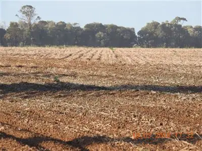 Fifth view of Homely rural property listing, Address available on request