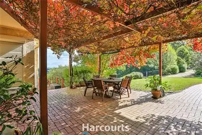 Main view of Homely rural property listing, 229 Bridal Road, Tonimbuk VIC 3815