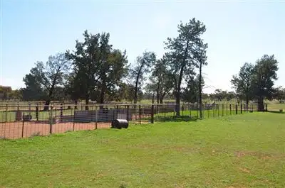 Seventh view of Homely rural property listing, * Keewong Station, Cobar NSW 2835