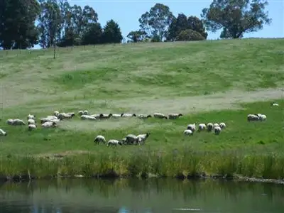 Fourth view of Homely rural property listing, 9402 Black Georges Road, Middlesex WA 6258