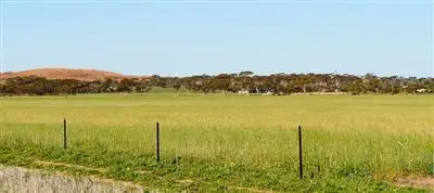 Main view of Homely rural property listing, 15353 Goldfields Road, Merredin WA 6415