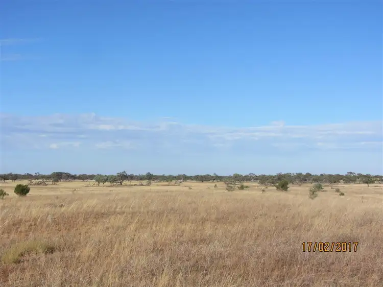* Mount Kew, Wilcannia NSW 2836