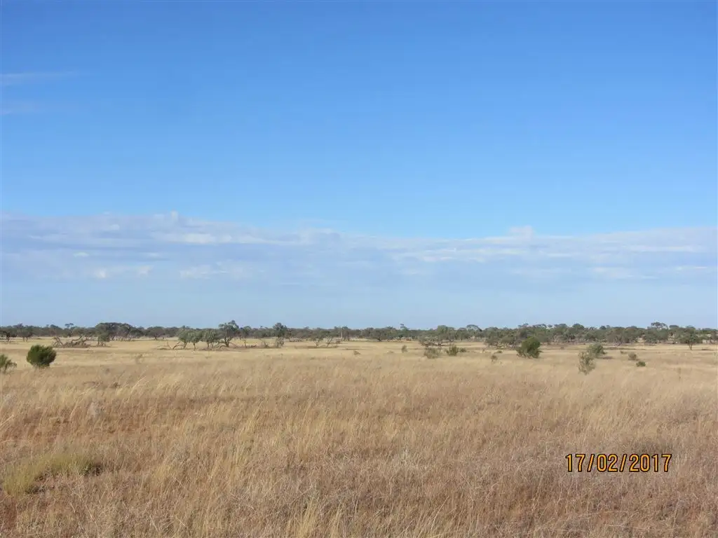 Main view of Homely rural property listing, * Mount Kew, Wilcannia NSW 2836
