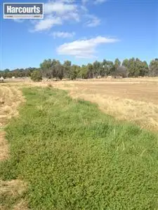 Main view of Homely land listing, 237 Ayrshire Loop, Lower Chittering WA 6084