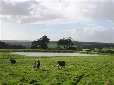 Second view of Homely rural property listing, Address available on request